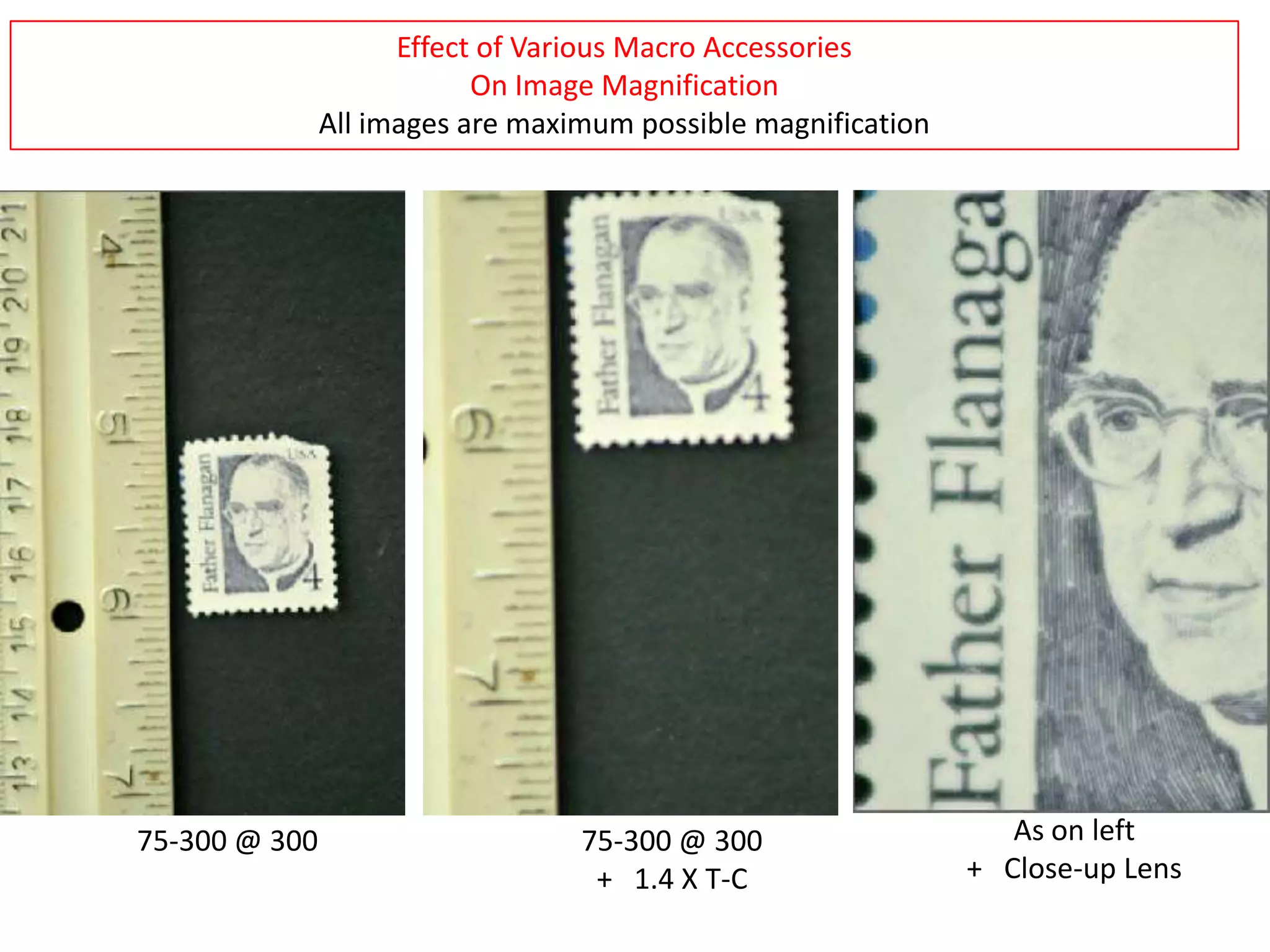 Effect of Various Macro Accessories
                           On Image Magnification
               All images are maximum possible magnification




75-300 @ 300                      75-300 @ 300                    As on left
                                   + 1.4 X T-C                 + Close-up Lens
 