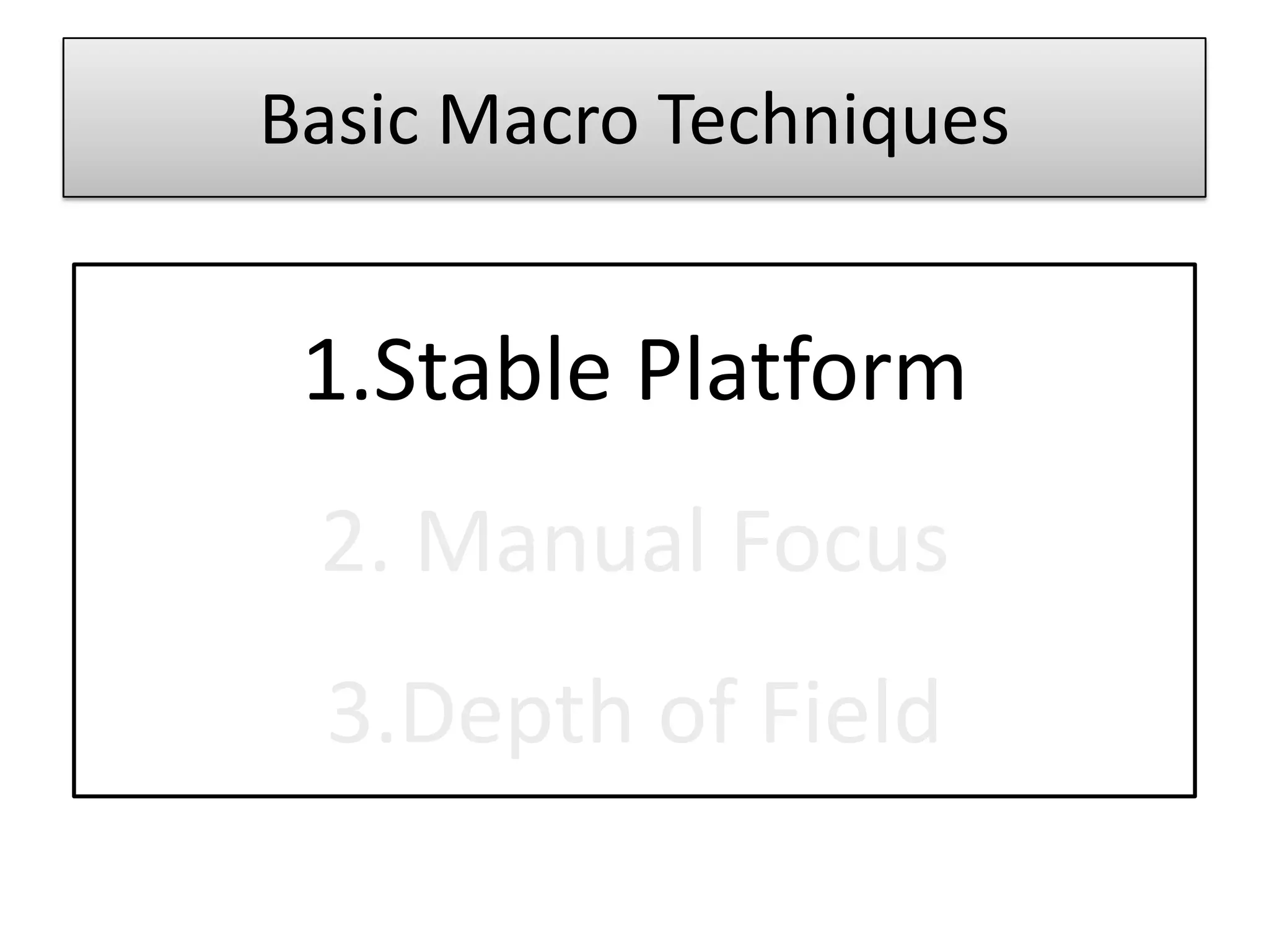 Basic Macro Techniques


 1.Stable Platform
 2. Manual Focus
 3.Depth of Field
 