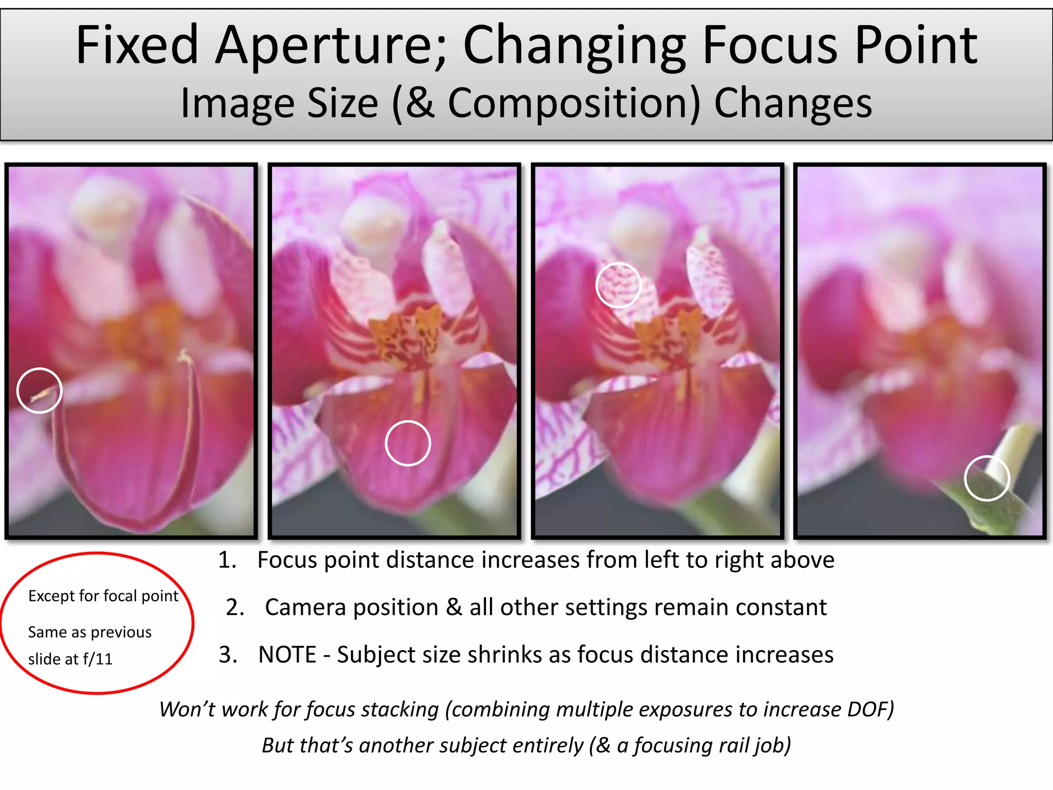 Fixed Aperture; Changing Focus Point
                         Image Size (& Composition) Changes




                          1. Focus point distance increases from left to right above
Except for focal point
                           2. Camera position & all other settings remain constant
Same as previous
slide at f/11             3. NOTE - Subject size shrinks as focus distance increases

                   Won’t work for focus stacking (combining multiple exposures to increase DOF)
                              But that’s another subject entirely (& a focusing rail job)
 