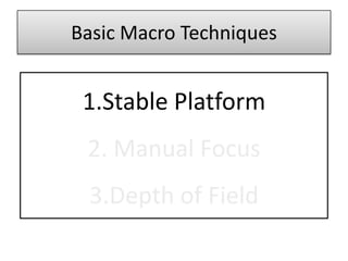 Basic Macro Techniques


 1.Stable Platform
 2. Manual Focus
 3.Depth of Field
 