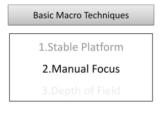 Basic Macro Techniques


 1.Stable Platform
  2.Manual Focus
 3.Depth of Field
 