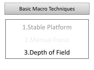 Basic Macro Techniques


 1.Stable Platform
  2.Manual Focus
 3.Depth of Field
 