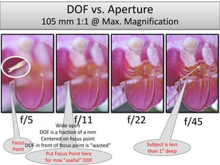 DOF vs. Aperture
             105 mm 1:1 @ Max. Magnification




   f/5                    f/11
                   Wide open
                                                f/22                     f/45
            DOF is a fraction of a mm
             Centered on focus point
Focus DOF in front of focus point is “wasted”          Subject is less
Point                                                  than 1” deep
               Put Focus Point here
               for max “useful” DOF
 