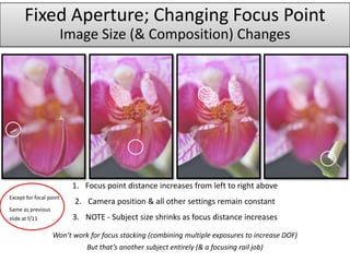Fixed Aperture; Changing Focus Point
                         Image Size (& Composition) Changes




                          1. Focus point distance increases from left to right above
Except for focal point
                           2. Camera position & all other settings remain constant
Same as previous
slide at f/11             3. NOTE - Subject size shrinks as focus distance increases

                   Won’t work for focus stacking (combining multiple exposures to increase DOF)
                              But that’s another subject entirely (& a focusing rail job)
 