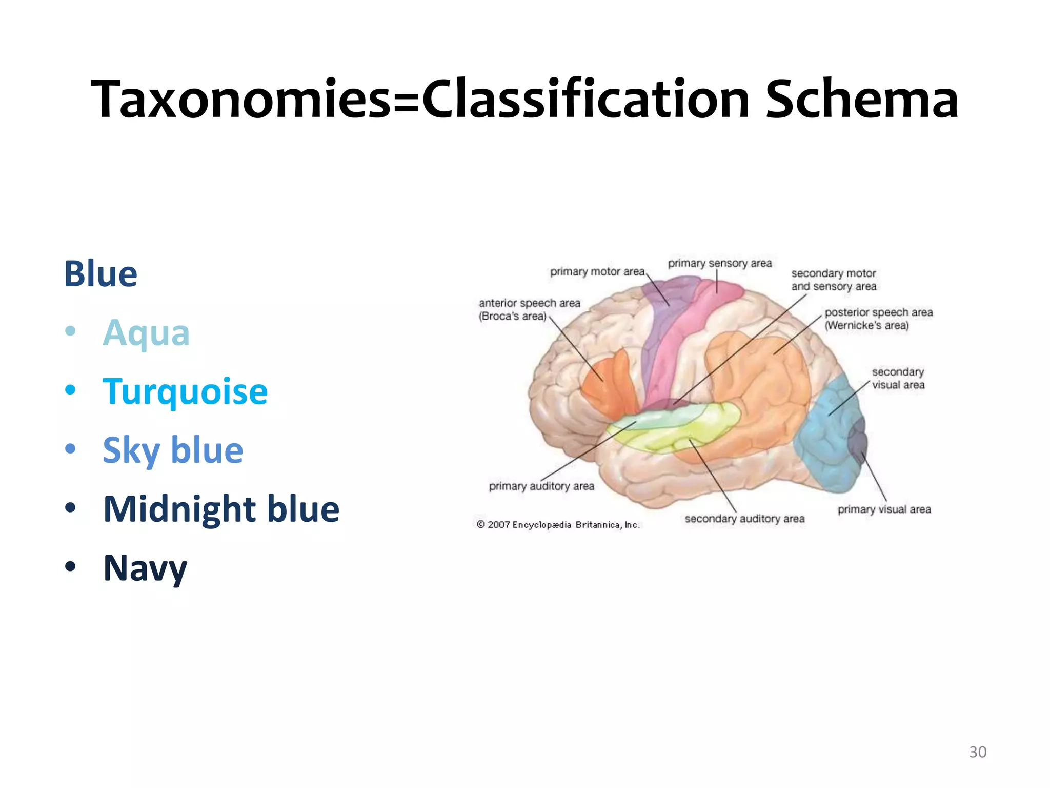 Taxonomies=Classification Schema 
Blue 
• Aqua 
• Turquoise 
• Sky blue 
• Midnight blue 
• Navy 
30 
 