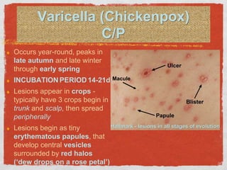Human Herpesviruses3-8 | PPTX