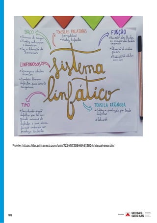 181
Fonte: https://br.pinterest.com/pin/728457308464913834/visual-search/
 