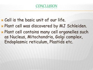 CONCLUSION
 Cell is the basic unit of our life.
 Plant cell was discovered by MJ Schleiden.
 Plant cell contains many cell organelles such
as Nucleus, Mitochondria, Golgi complex,
Endoplasmic reticulum, Plastids etc.
 