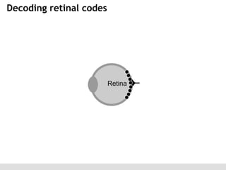 Decoding retinal codes

 