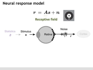 Neural response model

Receptive field
Statistics

θ

Cortex

 