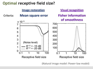 Optimal receptive field size?
Image restoration
Criteria:

Visual recognition

Mean square error

Fisher information
of smoothness

(Noise level)

Receptive field size

Receptive field size

(Natural image model: Power-law model)

 