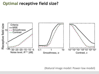 Receptive field size

Optimal receptive field size?

(Natural image model: Power-law model)

 
