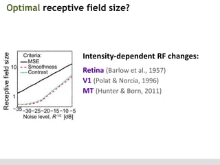 Receptive field size

Optimal receptive field size?

Intensity-dependent RF changes:
Retina (Barlow et al., 1957)
V1 (Polat & Norcia, 1996)
MT (Hunter & Born, 2011)

 