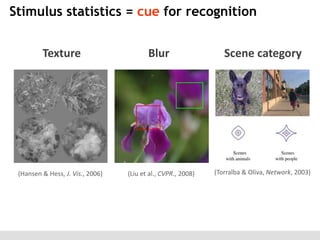 Stimulus statistics = cue for recognition
Texture

(Hansen & Hess, J. Vis., 2006)

Blur

(Liu et al., CVPR., 2008)

Scene category

(Torralba & Oliva, Network, 2003)

 
