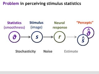 Problem in perceiving stimulus statistics

Statistics
(smoothness)

Stimulus
(image)

θ
Stochasticity

Neural
response

s

“Percepts”

r
Noise

^

^
s
Estimate

θ

 