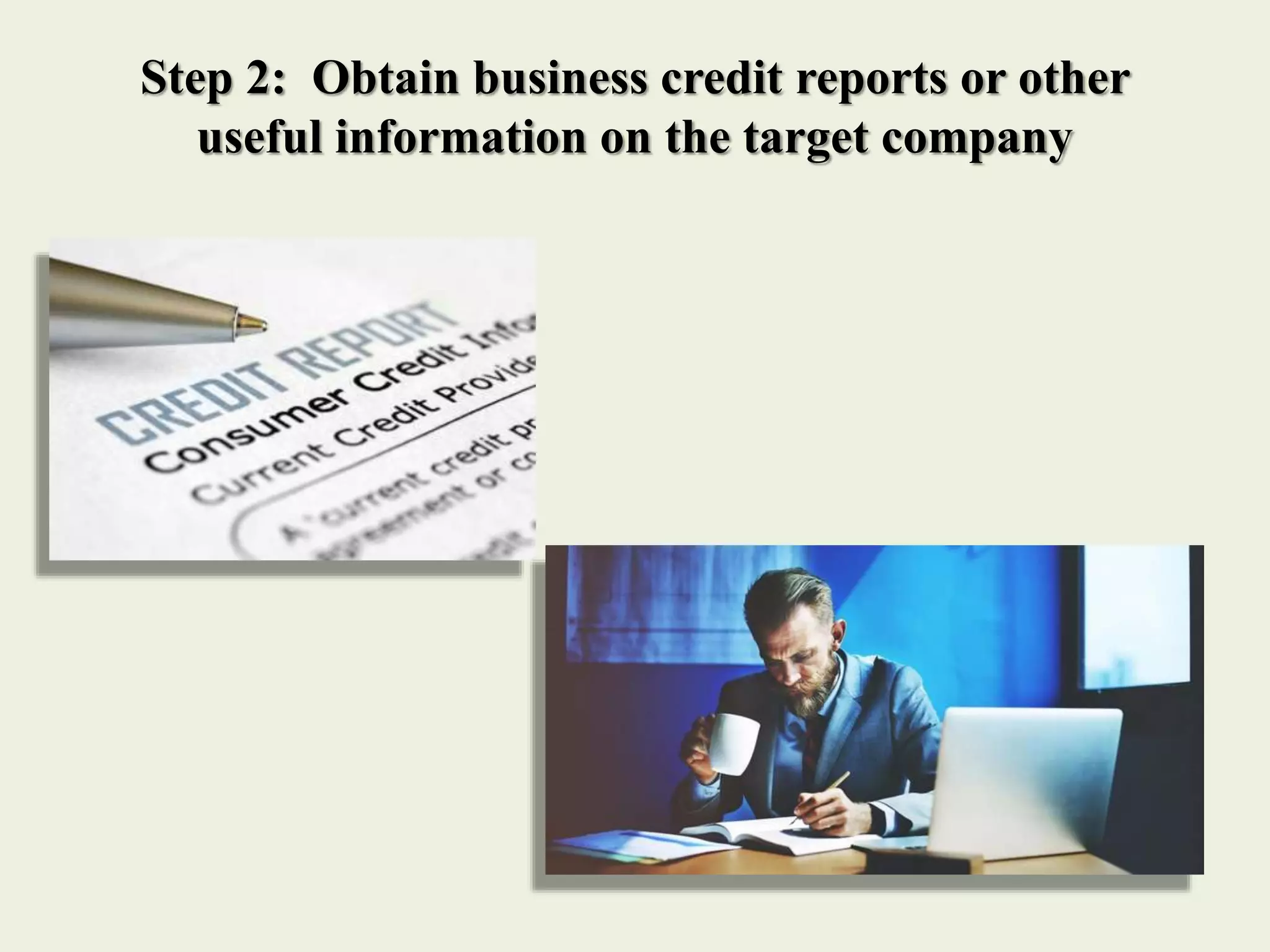Step 2: Obtain business credit reports or other
useful information on the target company
 