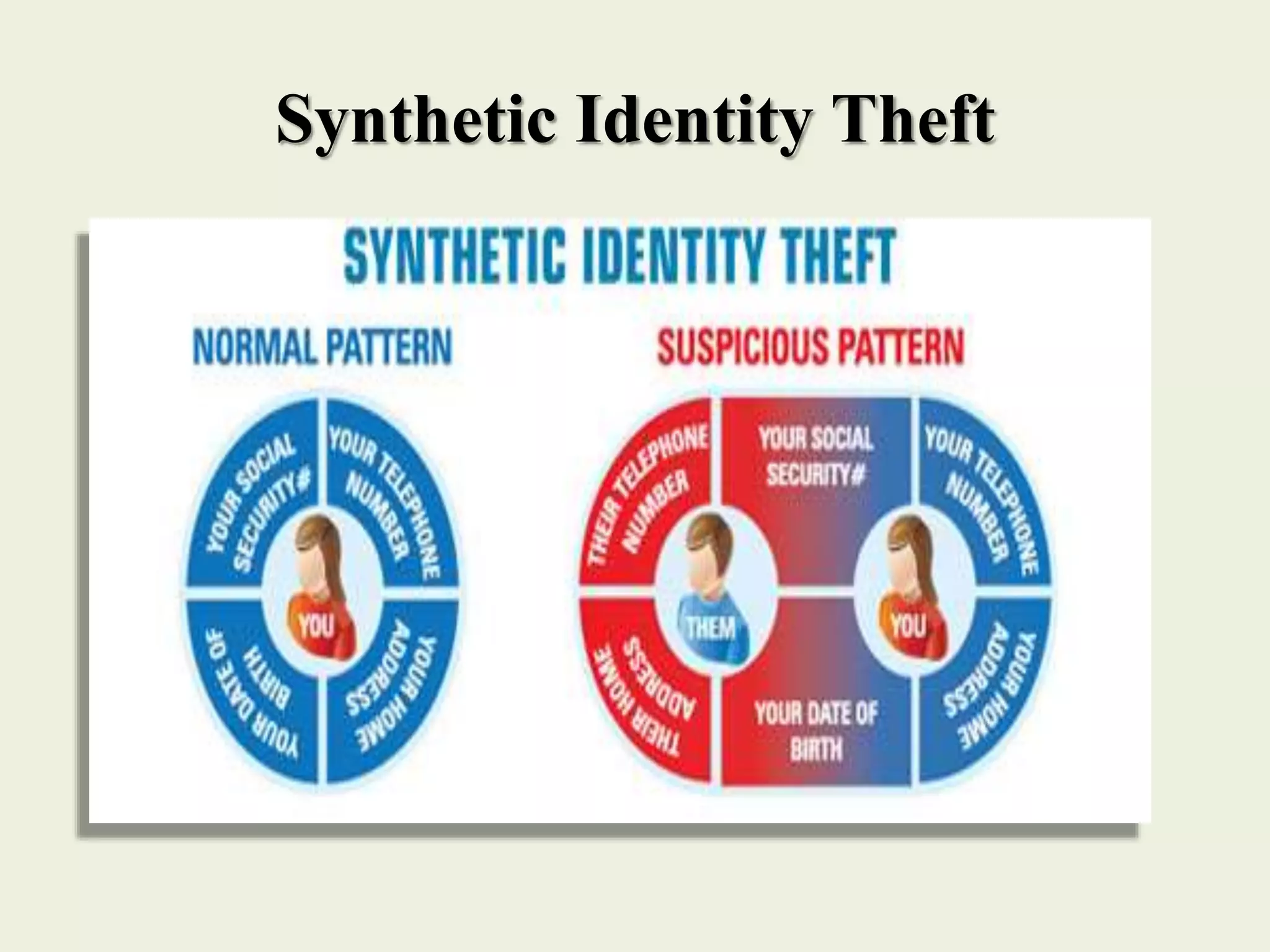 Synthetic Identity Theft
 