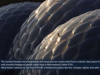 The covered biomes were inspired by the moon and are constructed from a tubular steel space-fra
with (mostly) hexagonal panels made from a thermoplastic called ETFE.
What better material to use than ETFE for a fantastical project like this- cheaper, lighter and safer t

 