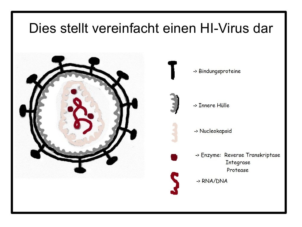Der HI-Virus befällt eine Zelle