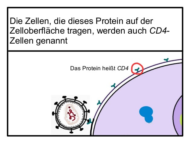 Bady für die Potenz der Preis