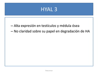 HYAL 3

– Alta expresión en testículos y médula ósea
– No claridad sobre su papel en degradación de HA




                     Hialuronan
 