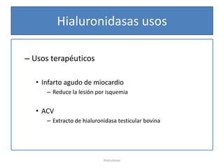Hialuronidasas usos

– Usos terapéuticos

   • Infarto agudo de miocardio
      – Reduce la lesión por isquemia


   • ACV
      – Extracto de hialuronidasa testicular bovina




                            Hialuronan
 