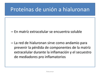 Proteínas de unión a hialuronan


– En matríz extracelular se encuentra soluble

– La red de hialuronan sirve como andamio para
  prevenir la pérdida de componentes de la matríz
  extracelular durante la inflamación y el secuestro
  de mediadores pro inflamatorios


                      Hialuronan
 