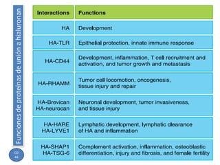 44
CD
             Funciones de proteínas de unión a hialuronan




Hialuronan
 