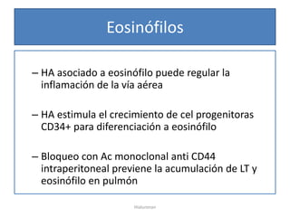 Eosinófilos

– HA asociado a eosinófilo puede regular la
  inflamación de la vía aérea

– HA estimula el crecimiento de cel progenitoras
  CD34+ para diferenciación a eosinófilo

– Bloqueo con Ac monoclonal anti CD44
  intraperitoneal previene la acumulación de LT y
  eosinófilo en pulmón

                      Hialuronan
 