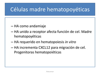 Células madre hematopoyéticas

– HA como andamiaje
– HA unido a receptor afecta función de cel. Madre
  hematopoyéticas
– HA requerido en hematopoiesis in vitro
– HA incrementa CXCL12 para migración de cel.
  Progenitoras hematopoiéticas



                     Hialuronan
 