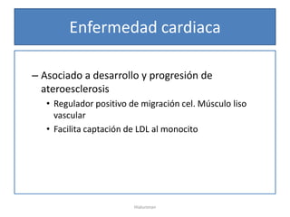 Enfermedad cardiaca

– Asociado a desarrollo y progresión de
  ateroesclerosis
   • Regulador positivo de migración cel. Músculo liso
     vascular
   • Facilita captación de LDL al monocito




                         Hialuronan
 