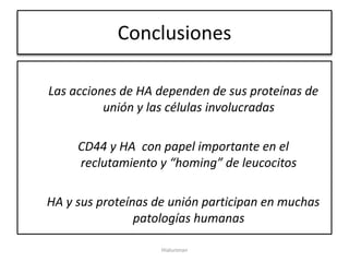 Conclusiones

Las acciones de HA dependen de sus proteínas de
          unión y las células involucradas

     CD44 y HA con papel importante en el
     reclutamiento y “homing” de leucocitos

HA y sus proteínas de unión participan en muchas
                patologías humanas

                    Hialuronan
 