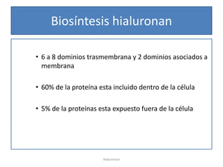 Biosíntesis hialuronan

• 6 a 8 dominios trasmembrana y 2 dominios asociados a
  membrana

• 60% de la proteína esta incluido dentro de la célula

• 5% de la proteínas esta expuesto fuera de la célula




                      Hialuronan
 