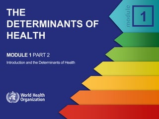 MODULE 1 PART 2
Introduction and the Determinants of Health
1
THE
DETERMINANTS OF
HEALTH
 