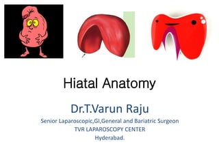 Hiatal Anatomy
Dr.T.Varun Raju
Senior Laparoscopic,GI,General and Bariatric Surgeon
TVR LAPAROSCOPY CENTER
Hyderabad.
 