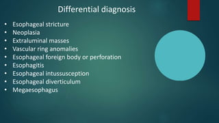 Differential diagnosis
• Esophageal stricture
• Neoplasia
• Extraluminal masses
• Vascular ring anomalies
• Esophageal foreign body or perforation
• Esophagitis
• Esophageal intussusception
• Esophageal diverticulum
• Megaesophagus
 