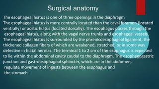Surgical anatomy
The esophageal hiatus is one of three openings in the diaphragm
The esophageal hiatus is more centrally located than the caval foramen (located
ventrally) or aortic hiatus (located dorsally). The esophagus passes through the
esophageal hiatus, along with the vagal nerve trunks and esophageal vessels.
The esophageal hiatus is surrounded by the phrenicoesophageal ligament, the
thickened collagen fibers of which are weakened, stretched, or in some way
defective in hiatal hernias. The terminal 1 to 2 cm of the esophagus is expected
to lie within the abdominal cavity caudal to the diaphragm. The esophagogastric
junction and gastroesophageal sphincter, which are in the abdomen,
regulate movement of ingesta between the esophagus and
the stomach.
 