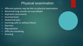 Physical examination
• Affected patients may be thin on physical examination
• Abnormal lung sounds are auscultated
• Aspiration pneumonia
• Hunched back
• Abdominal pain
• Vomiting with or without blood
• Diarrhea
• Regurgitation
• Difficulty breathing
• Drooling
 