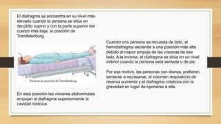 El diafragma se encuentra en su nivel más
elevado cuando la persona se sitúa en
decúbito supino y con la parte superior del
cuerpo más baja, la posición de
Trendelenburg.
En esta posición las vísceras abdominales
empujan al diafragma superiormente la
cavidad torácica.
Cuando una persona se recuesta de lado, el
hemidiafragma asciende a una posición más alta
debido al mayor empuje de las vísceras de ese
lado. A la inversa, el diafragma se sitúa en un nivel
inferior cuando la persona está sentada o de pie.
Por ese motivo, las personas con disnea, prefieren
sentarse a recostarse, el volumen respiratorio de
reserva aumenta y el diafragma colabora con la
gravedad en lugar de oponerse a ella.
 