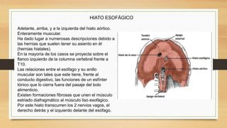 Adelante, arriba, y a la izquierda del hiato aórtico.
Enteramente muscular.
Ha dado lugar a numerosas descripciones debido a
las hernias que suelen tener su asiento en él
(hernias hiatales).
En la mayoría de los casos se proyecta sobre el
flanco izquierdo de la columna vertebral frente a
T10.
Las relaciones entre el esófago y su anillo
muscular son tales que este tiene, frente al
conducto digestivo, las funciones de un esfínter
tónico que lo cierra fuera del pasaje del bolo
alimenticio.
Existen formaciones fibrosas que unen el músculo
estriado diafragmático al músculo liso esofágico.
Por este hiato transcurren los 2 nervios vagos, el
derecho detrás y el izquierdo delante del esófago.
HIATO ESOFÁGICO
 