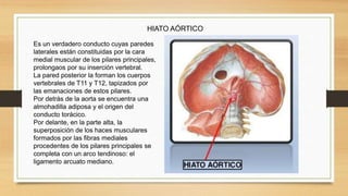 Es un verdadero conducto cuyas paredes
laterales están constituidas por la cara
medial muscular de los pilares principales,
prolongaos por su inserción vertebral.
La pared posterior la forman los cuerpos
vertebrales de T11 y T12, tapizados por
las emanaciones de estos pilares.
Por detrás de la aorta se encuentra una
almohadilla adiposa y el origen del
conducto torácico.
Por delante, en la parte alta, la
superposición de los haces musculares
formados por las fibras mediales
procedentes de los pilares principales se
completa con un arco tendinoso: el
ligamento arcuato mediano.
HIATO AÓRTICO
 