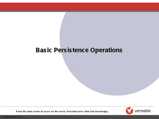 Basic Persistence Operations 