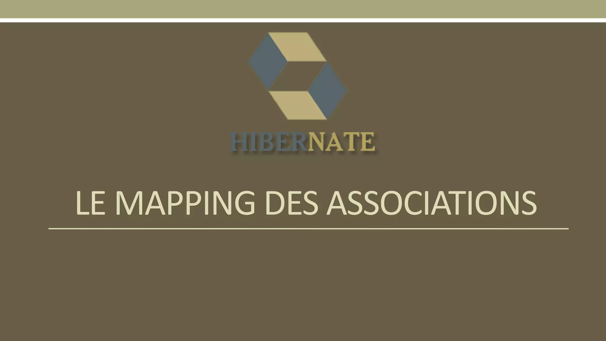 LE MAPPING DES ASSOCIATIONS
 
