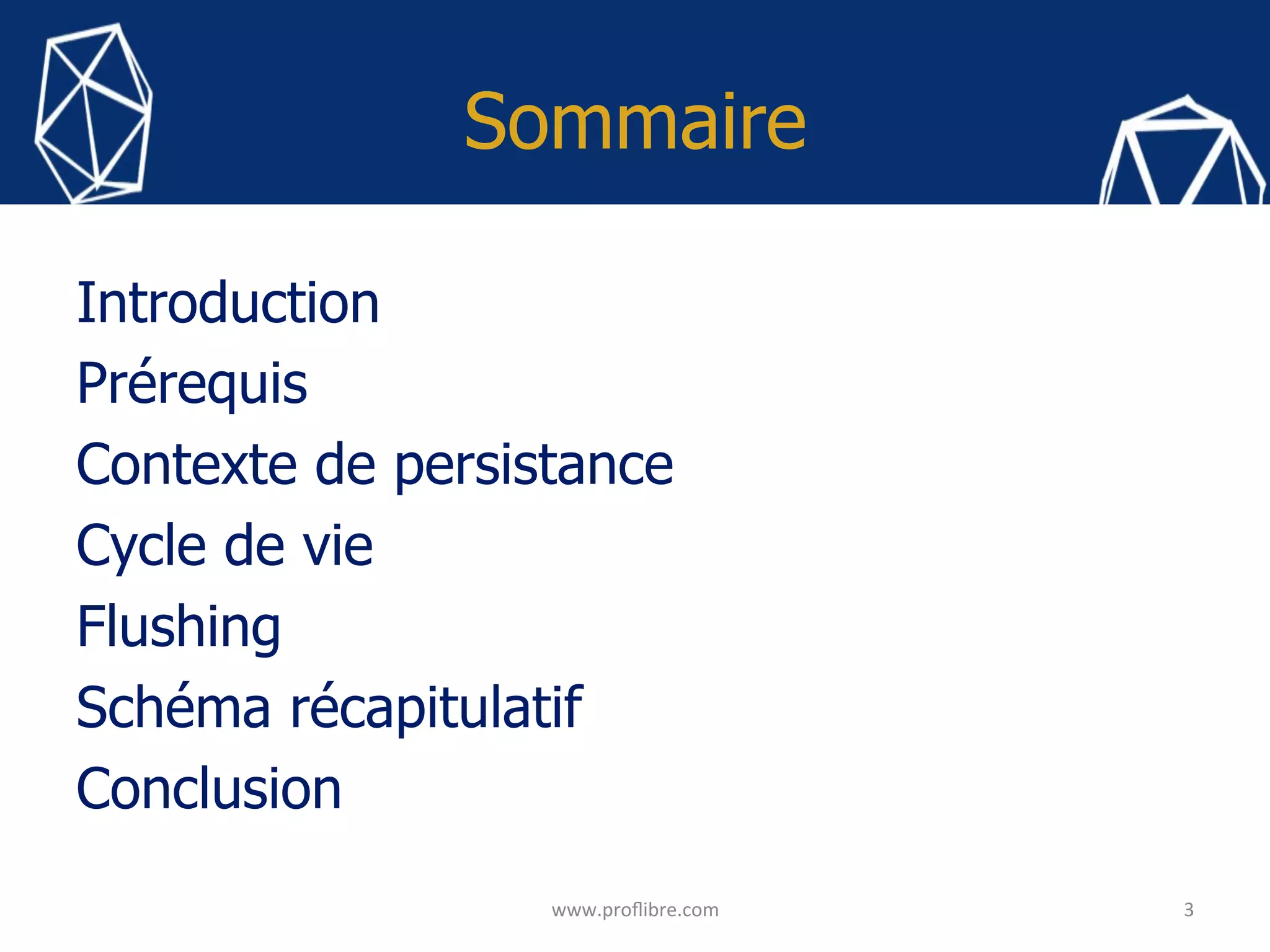 Sommaire
Introduction
Prérequis
Contexte de persistance
Cycle de vie
Flushing
Schéma récapitulatif
Conclusion
3	
www.proﬂibre.com	
 