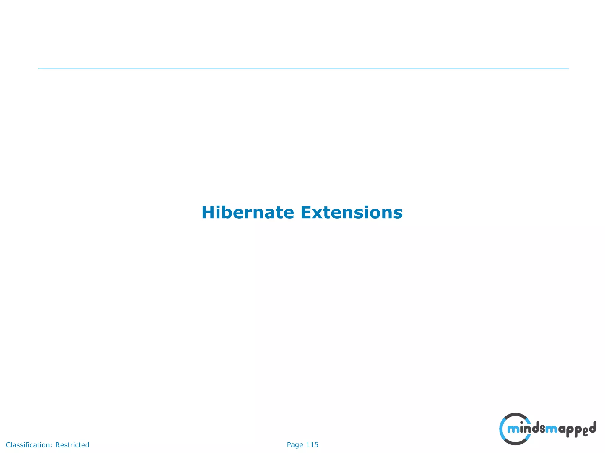 Page 115Classification: Restricted
Hibernate Extensions
 
