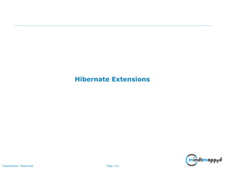 Page 115Classification: Restricted
Hibernate Extensions
 