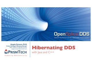 OpenSplice DDS
                                                            Delivering Performance, Openness, and Freedom



       Angelo Corsaro, Ph.D.

                                        Hibernating DDS
Product Strategy & Marketing Manager
     OMG RTESS and DDS SIG Co-Chair
         angelo.corsaro@prismtech.com


                                        with Java and C++
 