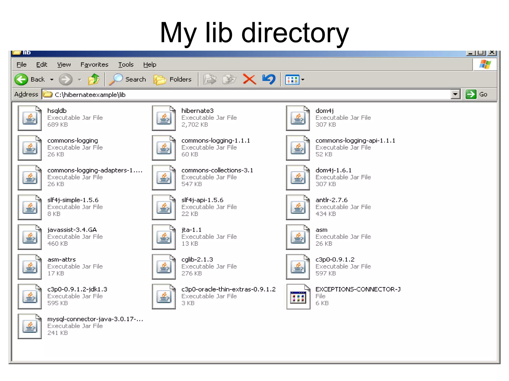 My lib directory
 