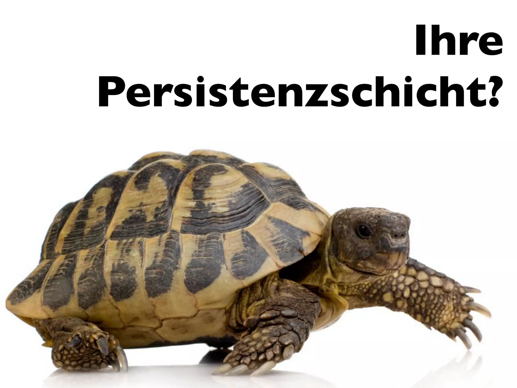 Ihre
Persistenzschicht?
 