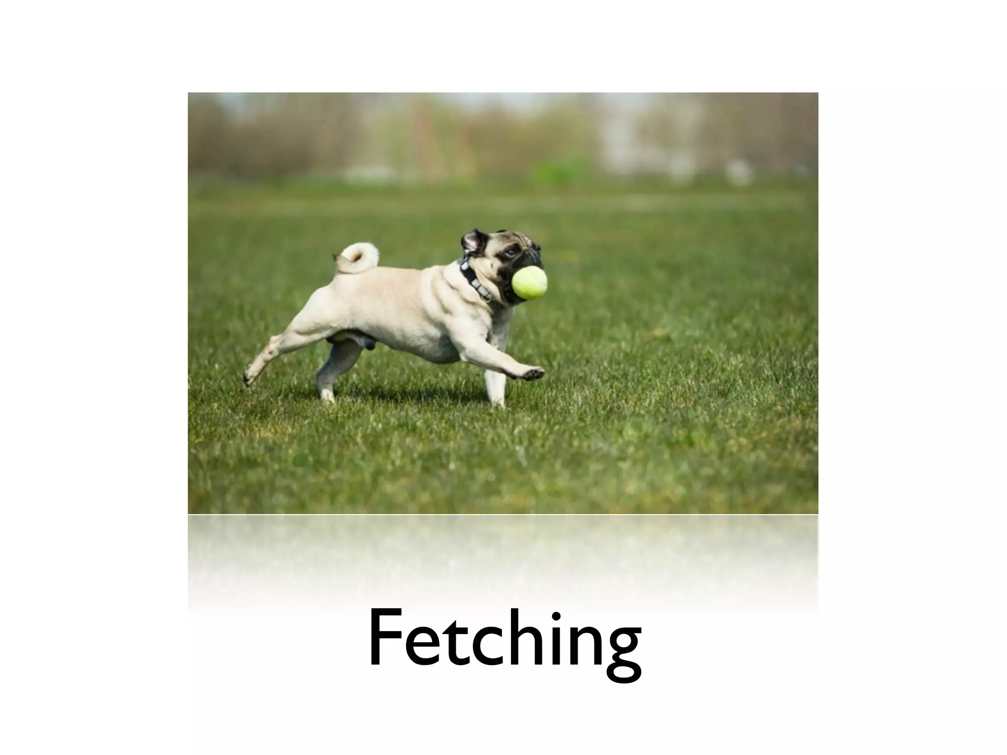 Fetching
 